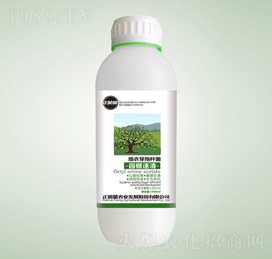 ����ѿ�ߗU��-�@������-������