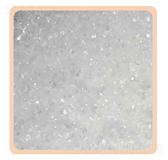 �����13-00-46-���P����