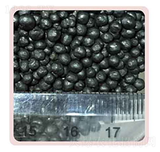 �w�������-���P����