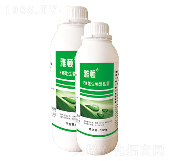 EM΢������Ծ�-���D-ʥ�ɶ�