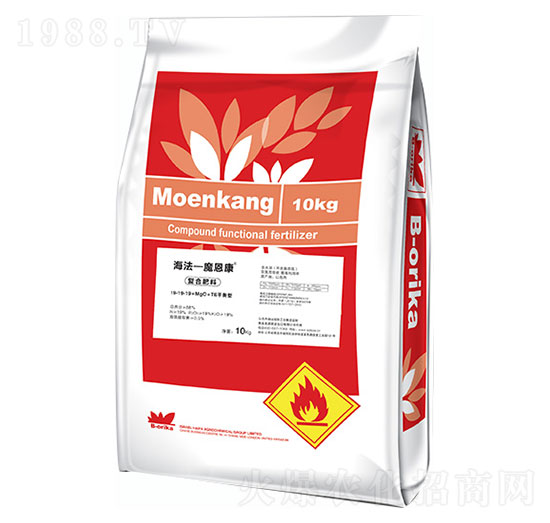 ����͏ͺϷ���19-19-19+MgO+TE-������ħ����-ʥ�ɶ�