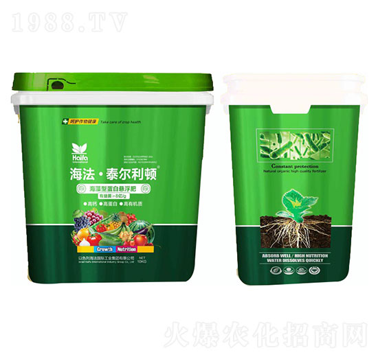 �����͵��בҸ���-������̩�����D-ʥ�ɶ�