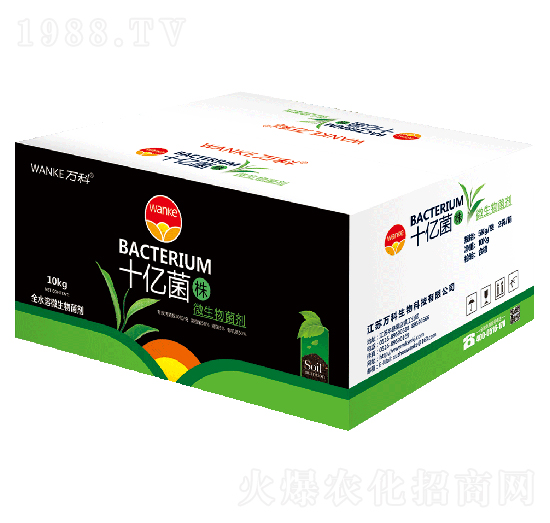 ���bʮ�|���꣨10�|����-�f(w��n)��