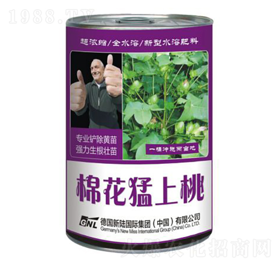 �޻��_ʩ���~���-�޻�������-�»�