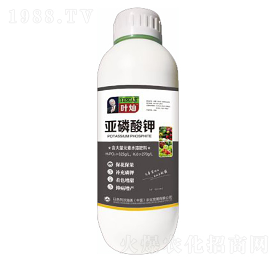 ����Ԫ����Һ��-�������-�»�