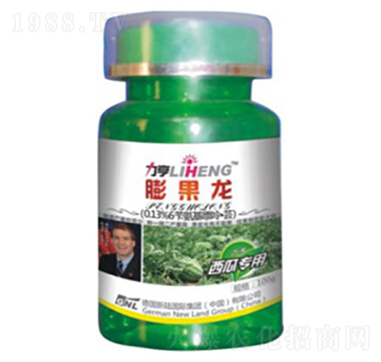 ���ό���-�����-�»�