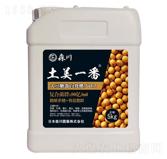 ����һ�������;���-ɭ��-����