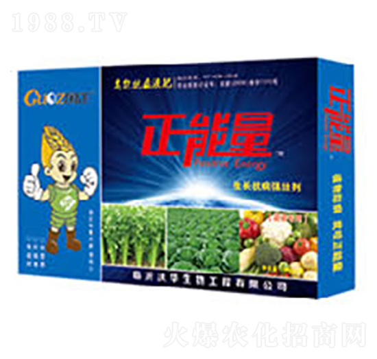 �߲ˌ������L(zh��ng)������(qi��ng)�ф�-������