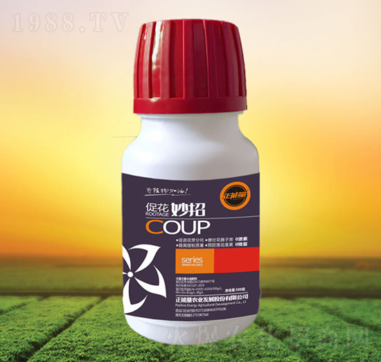 �ٻ�����-������