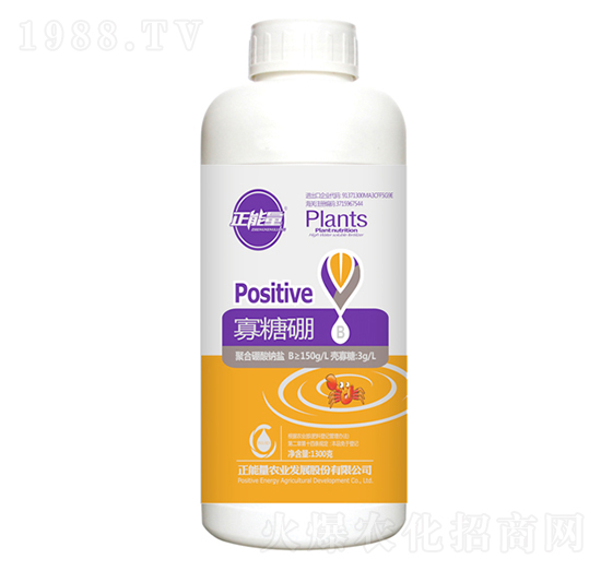 1300g������-������