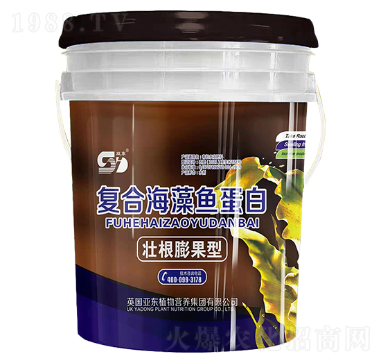 �Ѹ�����͏�(f��)�Ϻ����~(y��)����-��?w��n)|����