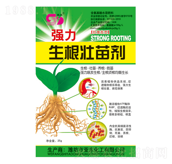 �����������焩-�p�|-���|����