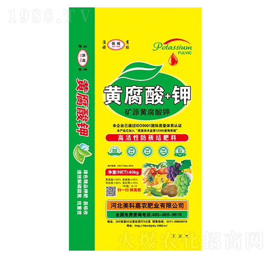 �VԴ�S�����-�ꕟ-���Ƽ��r