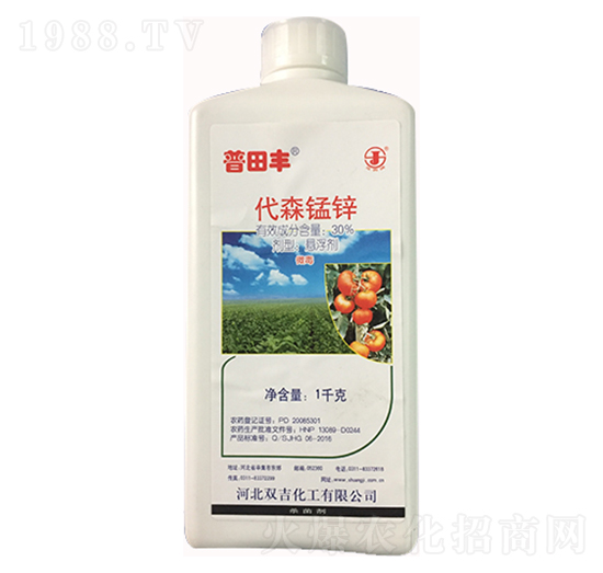 30%��ɭ�i�\�Ҹ���-�����S-�p������