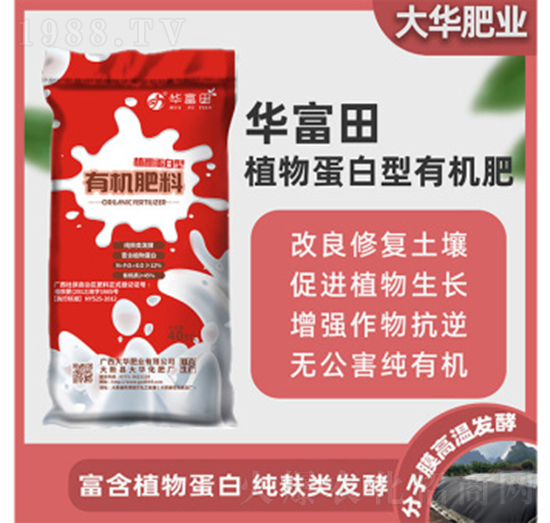 ֲ�ﵰ�����ЙC����-�A����-���A����