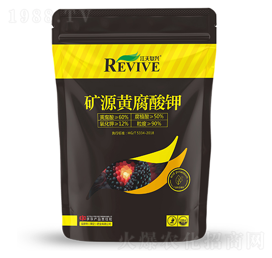 �VԴ�S�����-������