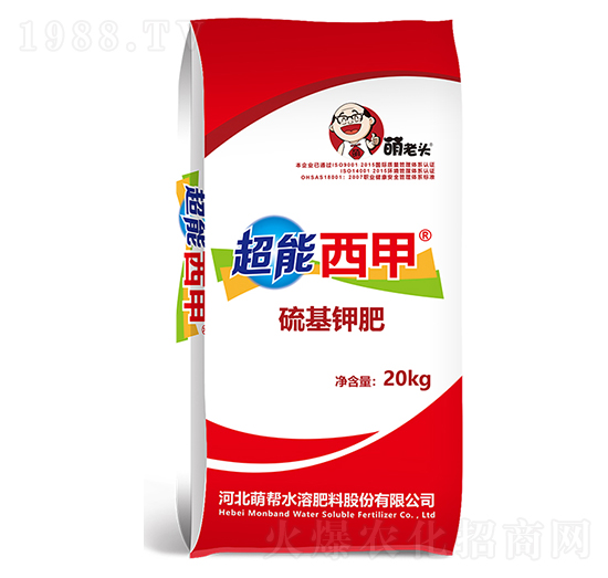 ���⛷�-��������-�Ȏ�