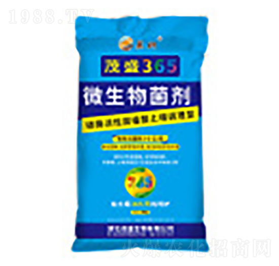 ΢�������-ïʢ365-ïʢ����