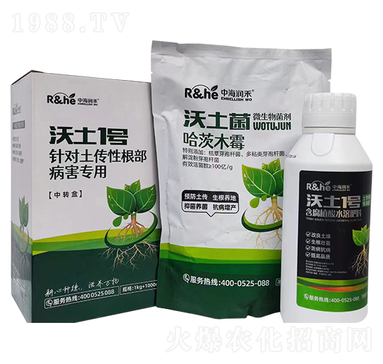 �����Ը���������������1̖(h��o)-�к�����