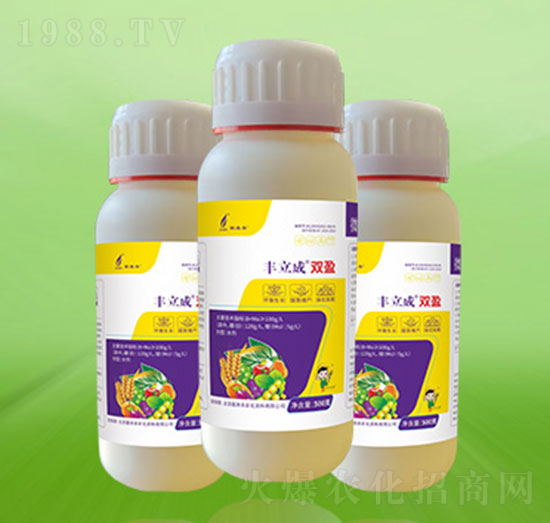 �S�����pӯ-�º��S