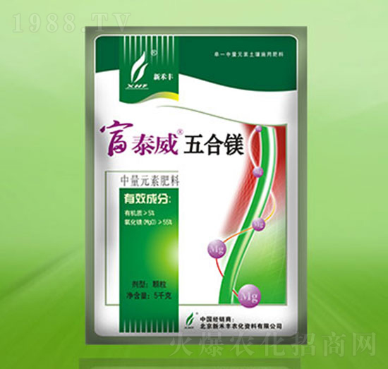 ����V-��̩��-�º��S