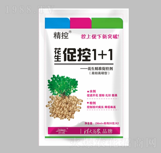 �����ٿ�1+1-����-������r