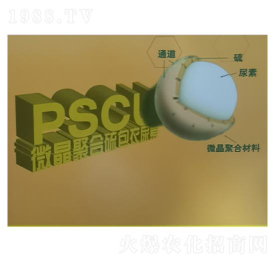 ΢�������������-˼�Z����