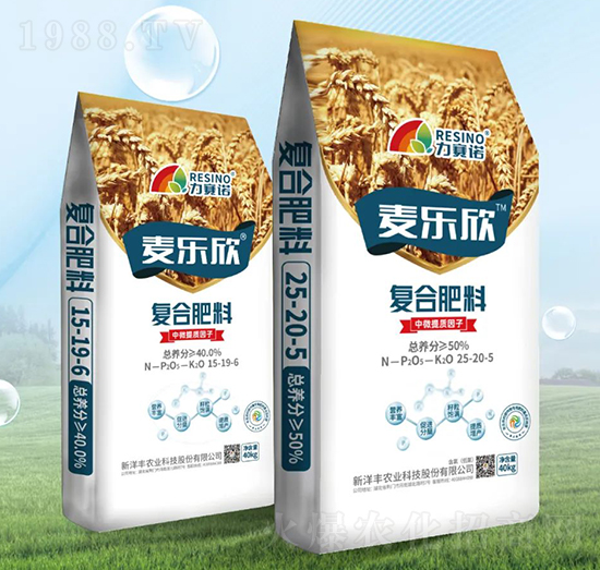 ��������Ч�ͺϷ���-��ِ�Z-���ؠ�