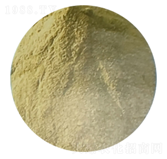 �ͮ�������ۣ��}�V�ͣ�-�h��ʘI(y��)