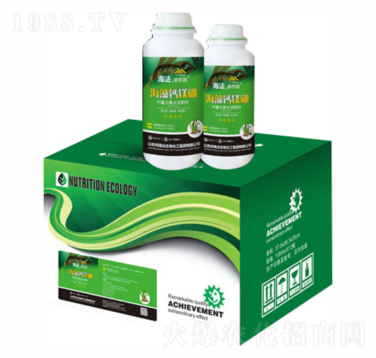 �����}�V��-�����S