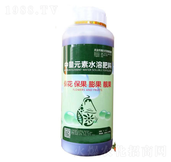 ���������n�������-���_����