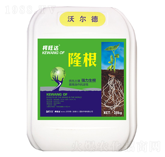 ¡��-�����_-�֠����r(n��ng)�I(y��)