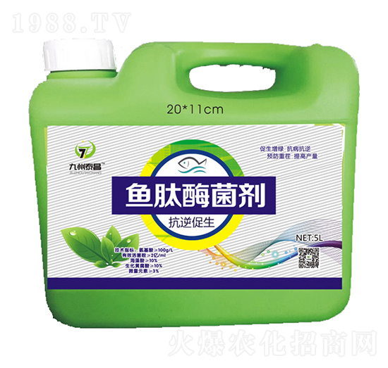 �~(y��)��ø���������������-��̩����