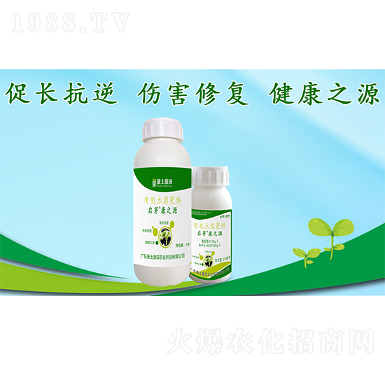 ��֮Դ-��ѿ-��������