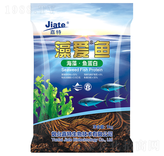 ��ۡ��~-��������