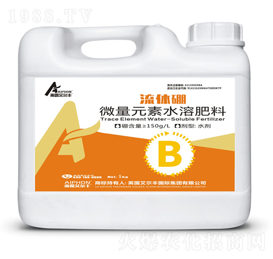 ���w��-��¶�����S