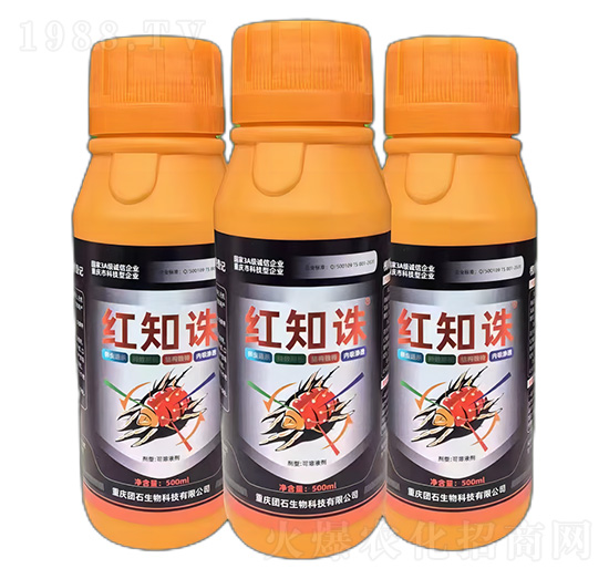 ����֬�������Ч��-�t֪�D-�Fʯ����