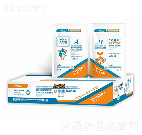 ������ֲ��I(y��ng)�B(y��ng)�ײ�-嫰�����