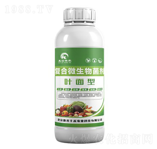 �~���͏ͺ�΢�������-�ݹ��S��