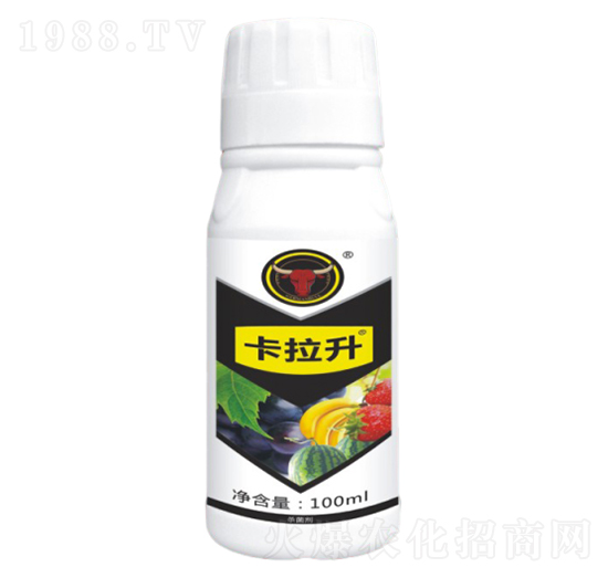 �׷ی���-������-��ţ���H