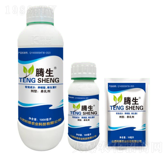 ����֬���S����E-�v��-�õ���