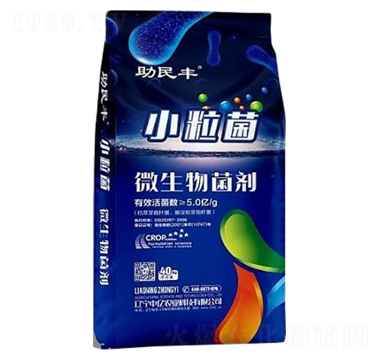 ΢�������-С����-�����S-�Ѓ|�r(n��ng)�I(y��)