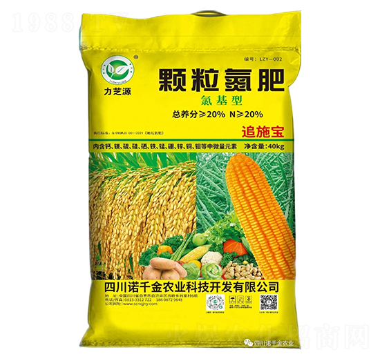 ����������w������-��֥Դ-�Zǧ���r�I(y��)