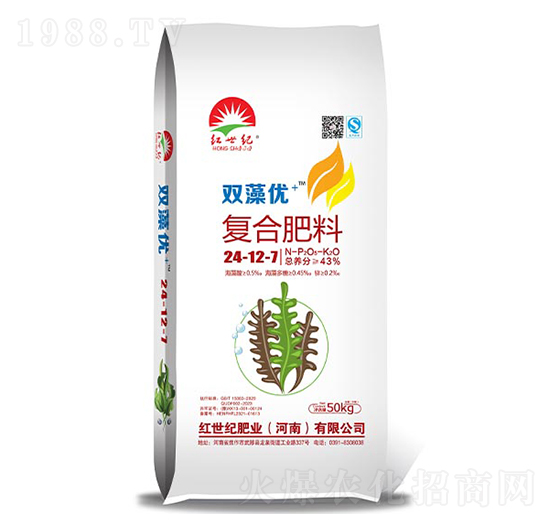 �p�僞(y��u)+�ͺϷ���24-12-7-�t���o