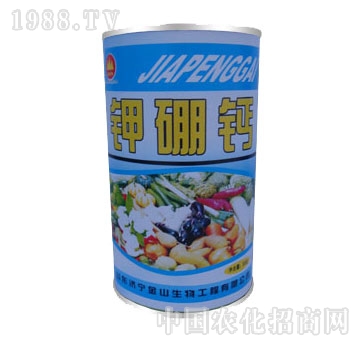 ��ɽ����-����}