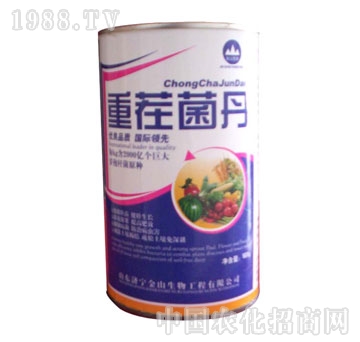 ��ɽ����-�ز����