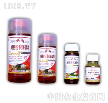 ��ɽ����-��(x��)�����Ѻ���