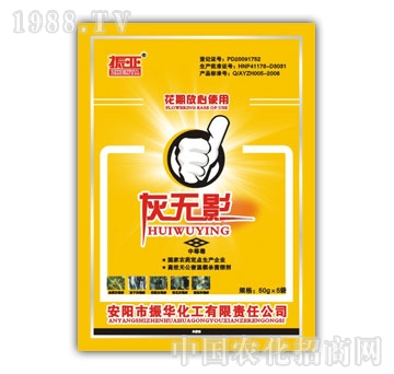 ���A����-�ҟoӰ