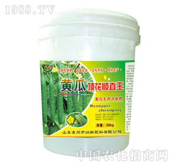 潤田-黃瓜頂花順直王