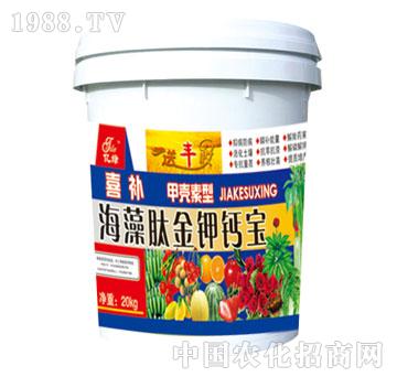 ����-�����Ľ���}��